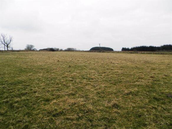 Top Paddock