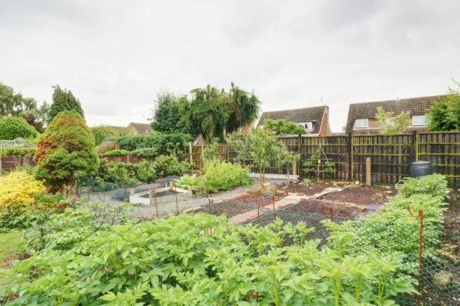 Veg garden