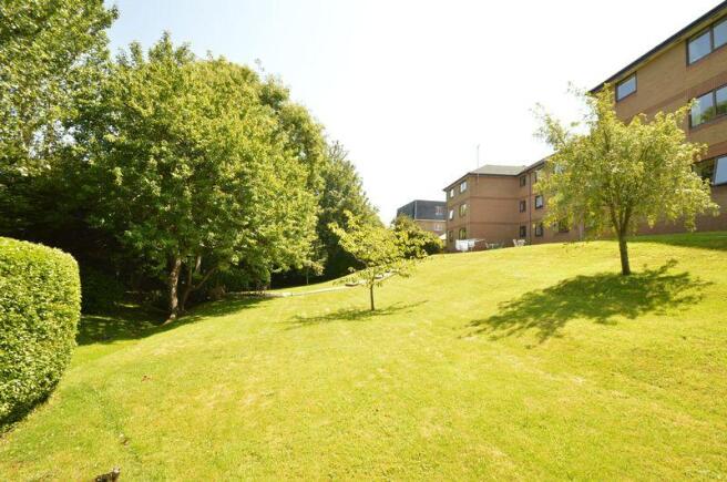 Communal Garden