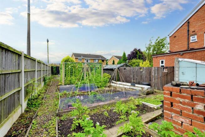 Garden_9.jpeg