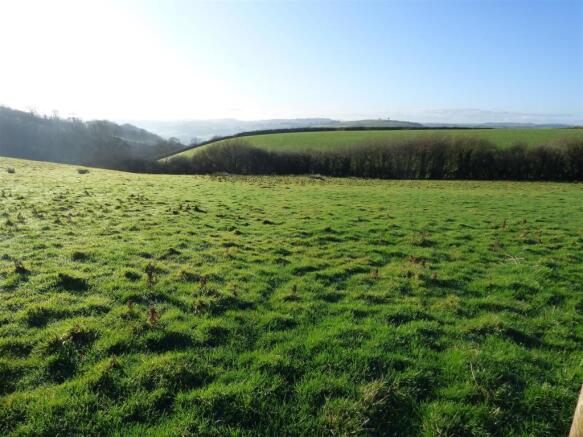 GROUNDS AND PADDOCK