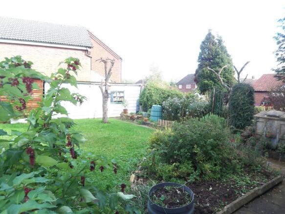 Photo 11