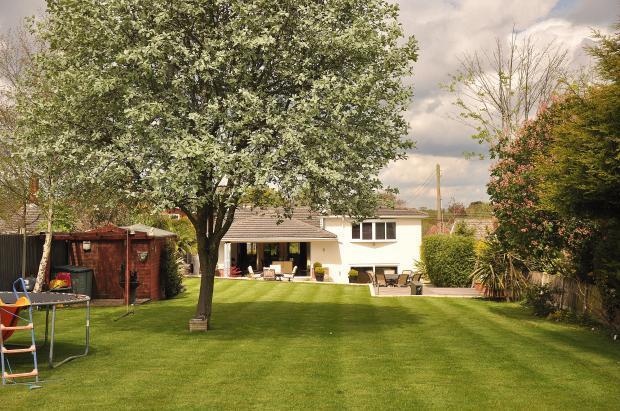 rear gdn/elevation