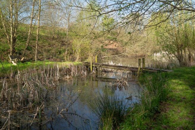 Pond