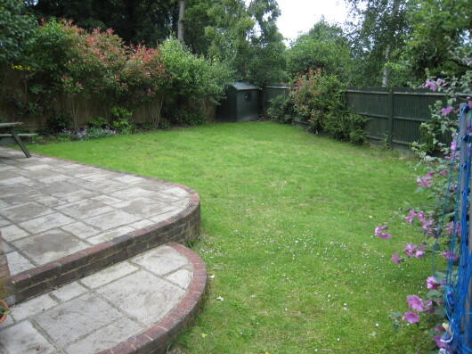 Photo 5