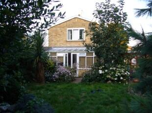 Rear of Property
