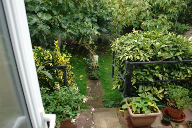Photo 10