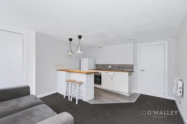 Lounge / Kitchen