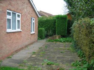 Rear Garden 2