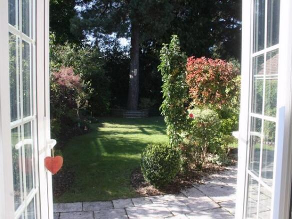 Photo 7