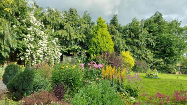 Back garden 1.jpg