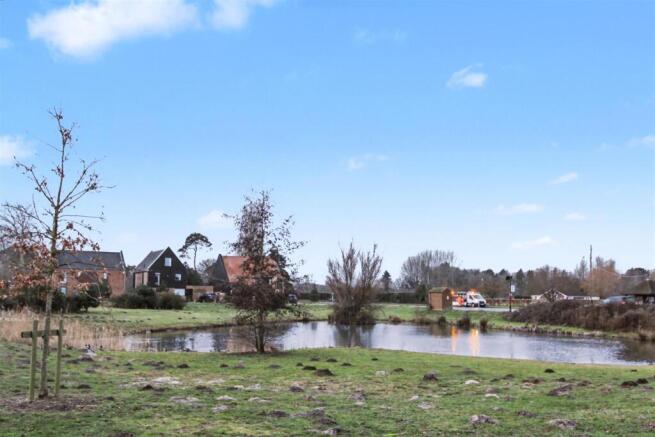 Duck Pond