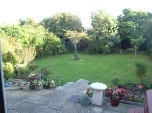 Garden 1