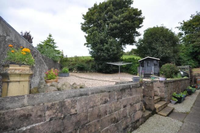 Back Garden