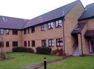Willow Mead