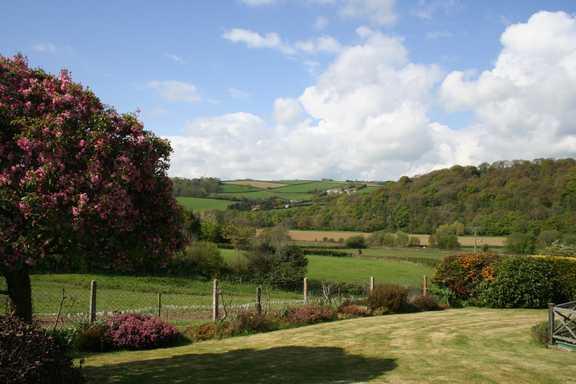 View from Garden