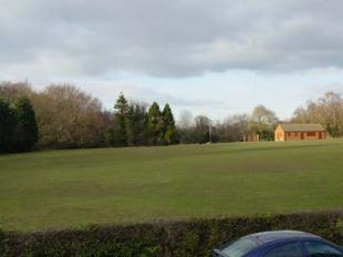 View from Bed 3