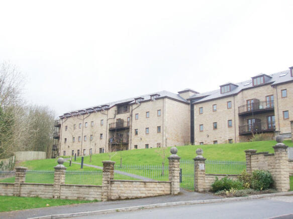 Picture 10