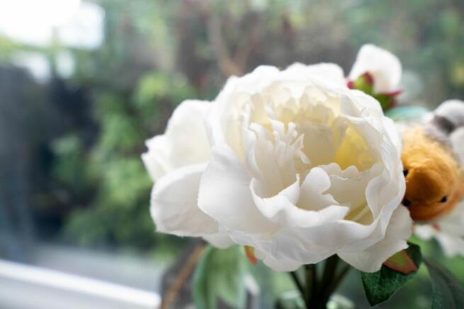 Photo 27