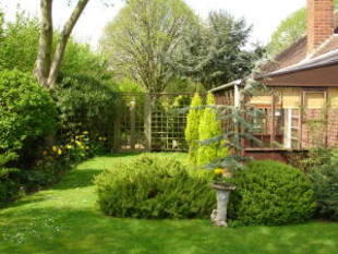 Photo 10