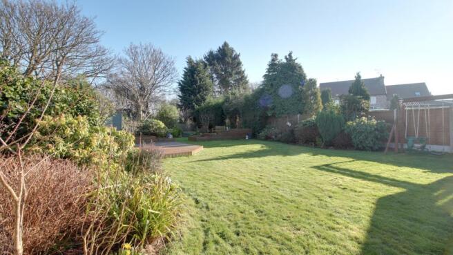 Garden at Back