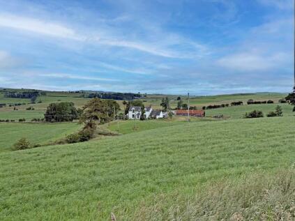 Little Cocklick, Cowar, Dalbeattie, DD5 4NH