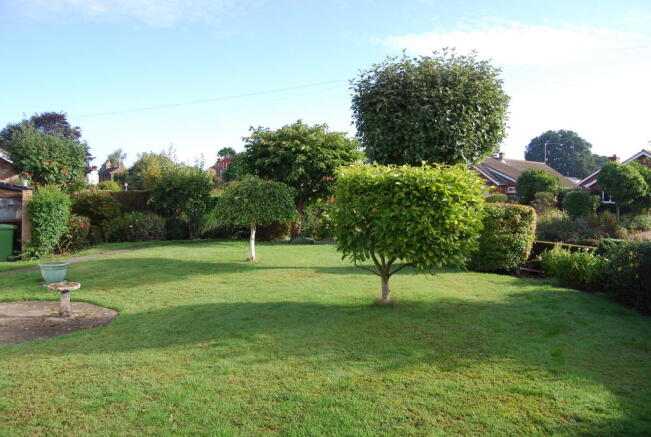 Photo 10