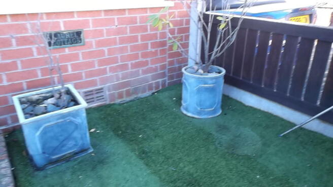 front garden.JPG