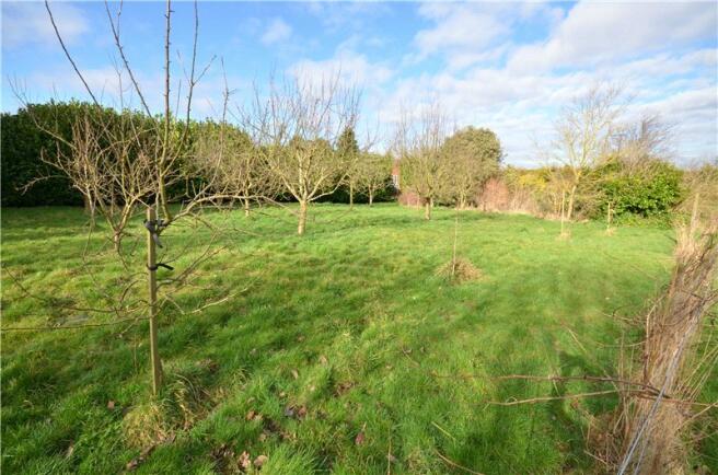 Orchard