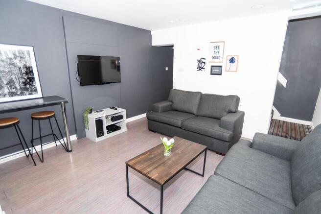 Contemporary communal living room with two comf...