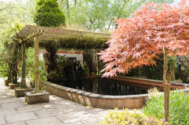 Pond