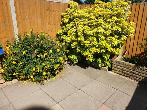 Photo 17