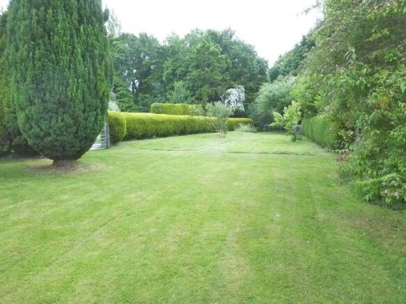 garden