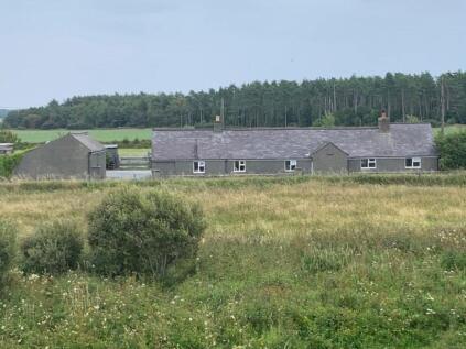 Pen Cob, Malltraeth, Anglesey, LL62