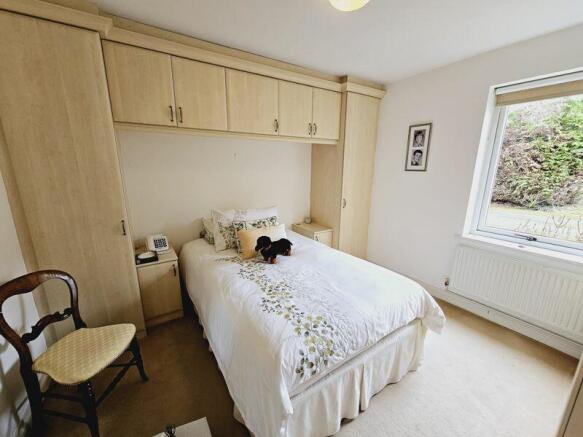 Photo 15