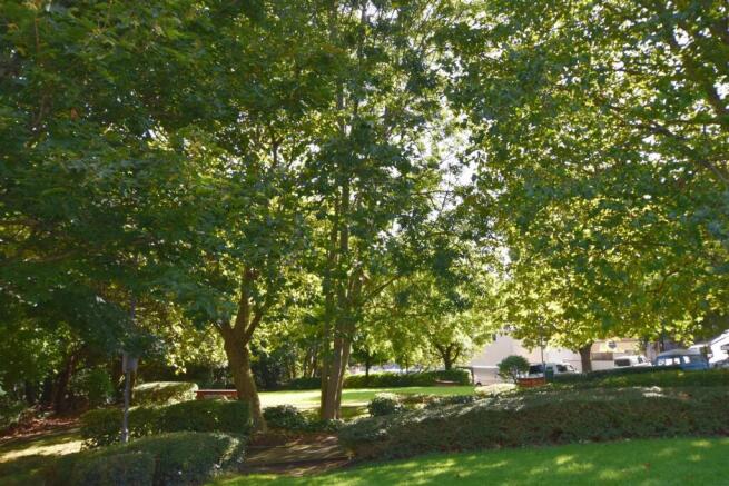 Park area.JPG