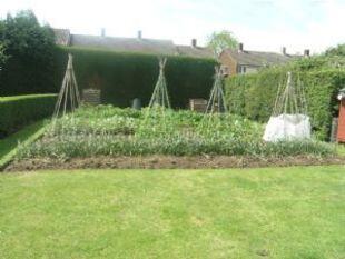 Garden View 3