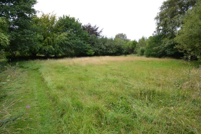 Small Paddock area