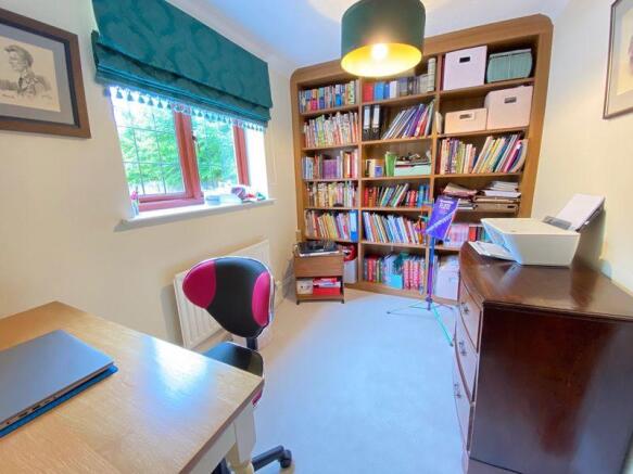 The Study