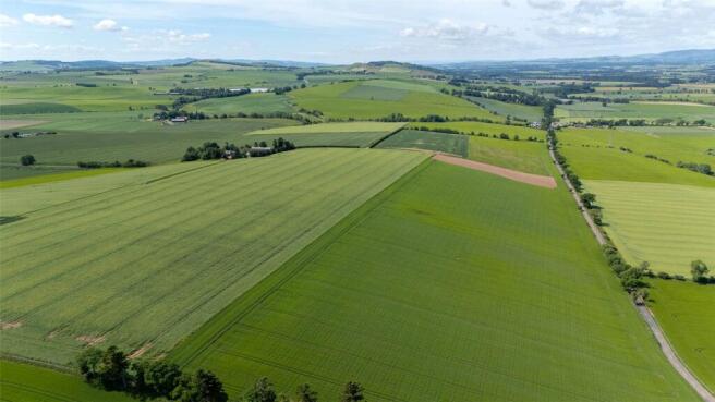 Balnacake and Netherton Farms, Brechin, Angus, DD9 photo 4
