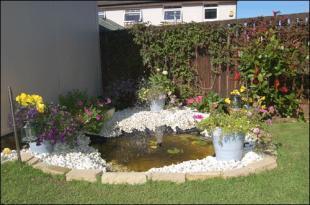 WATER FEATURE