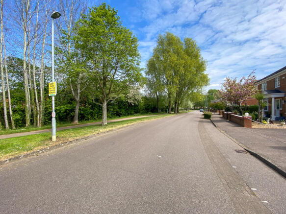 Street Scene