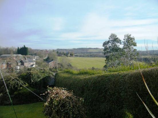 View From Patio