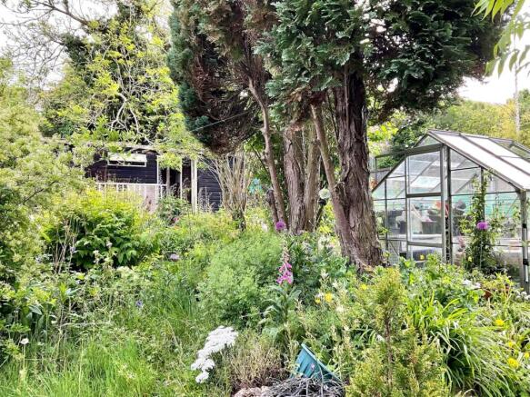Garden2.jpg