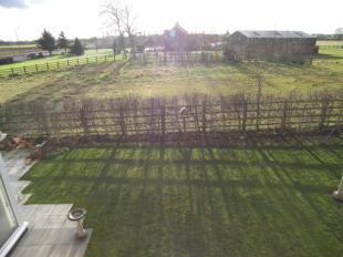 Garden Rear