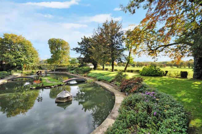 Rear Gardens