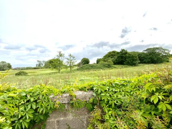 Garden views
