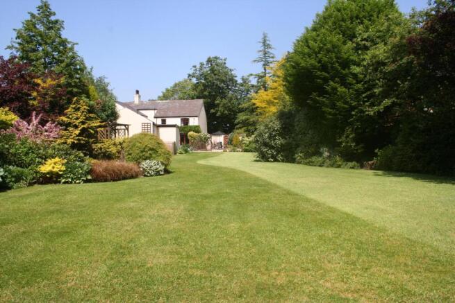 garden2