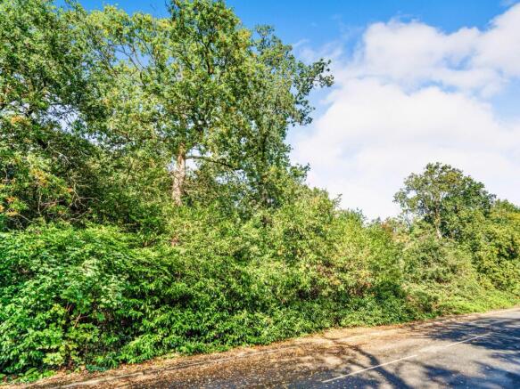 PHOTO-2025-10-05-12-12-56  3  T202510051931 T202601181611.jpg