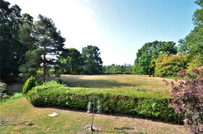 Garden With View